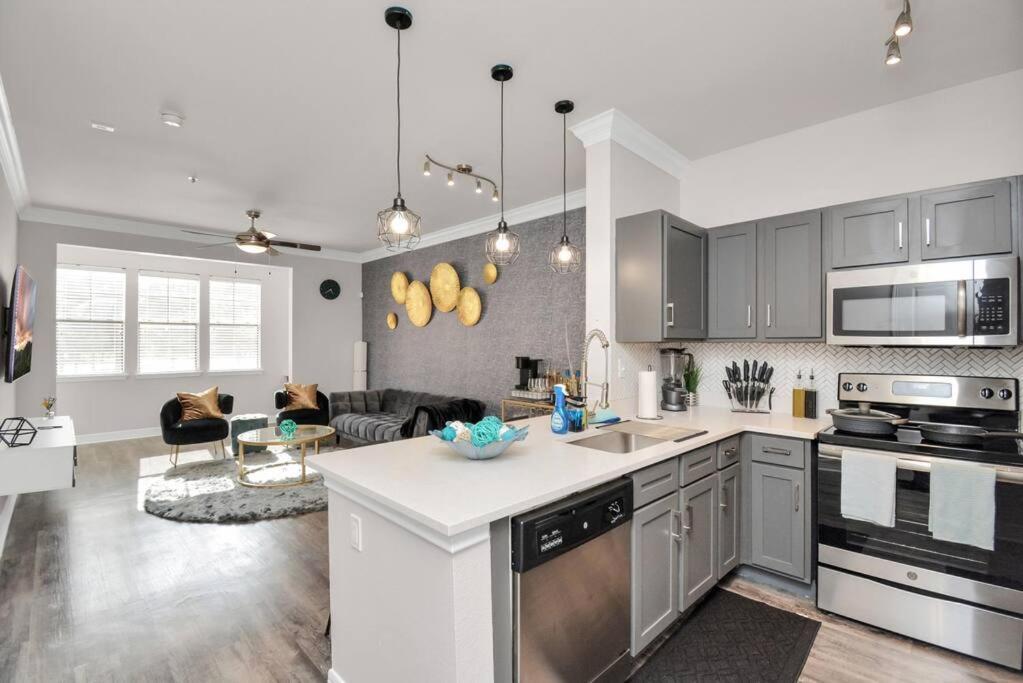 Luxury 1Br Apt ,Nrg ,Downtown ,Med Center,Galleria Houston Exterior photo
